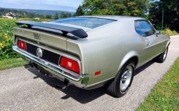 Unknown-Mustang-1971-Silver-Red-16