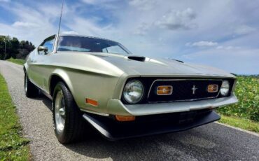 Unknown-Mustang-1971-Silver-Red-18