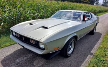Unknown-Mustang-1971-Silver-Red