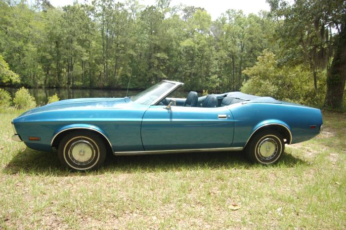 Unknown-Mustang-1972-Blue-1