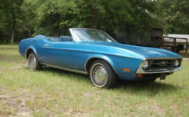 Unknown-Mustang-1972-Blue