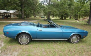 Unknown-Mustang-1972-Blue-8