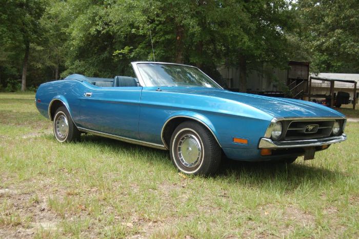 Unknown-Mustang-1972-Blue