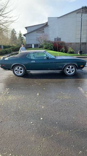 Unknown-Mustang-1972-Green-11