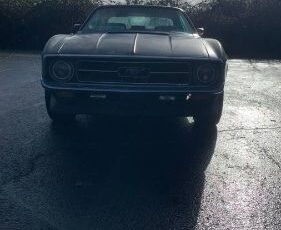 Unknown-Mustang-1972-Green-12