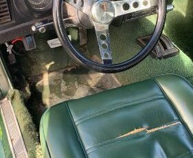 Unknown-Mustang-1972-Green-2