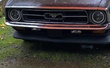 Unknown-Mustang-1972-Green-8