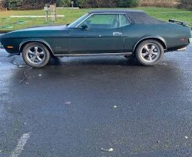 Unknown-Mustang-1972-Green-9