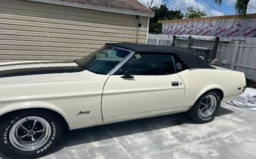 Unknown-Mustang-1972-White-3
