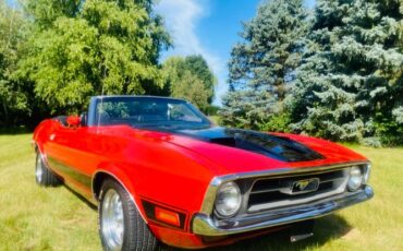 Unknown-Mustang-1973-1