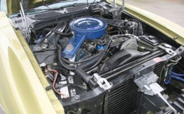 Unknown-Mustang-1973-1