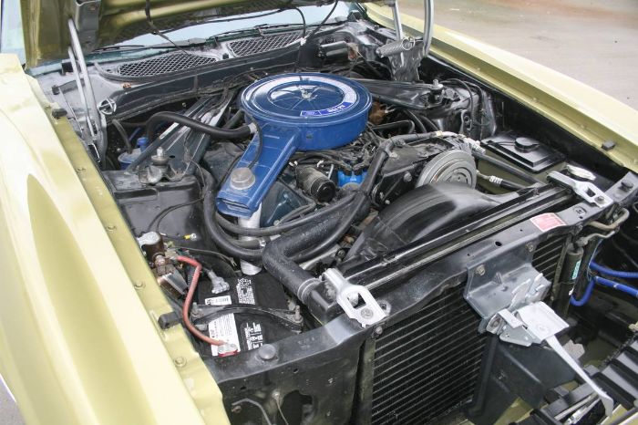 Unknown-Mustang-1973-1