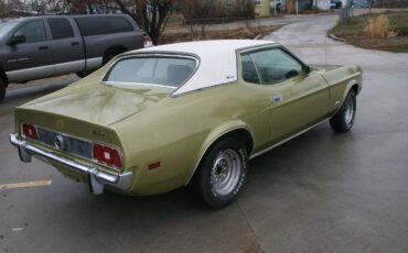 Unknown-Mustang-1973-10