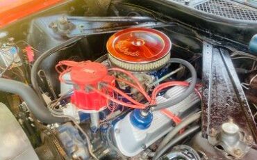 Unknown-Mustang-1973-10