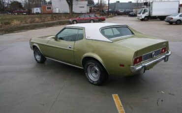 Unknown-Mustang-1973-11