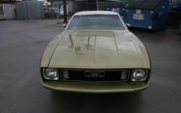 Unknown-Mustang-1973-12