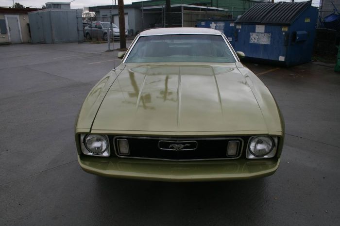 Unknown-Mustang-1973-12
