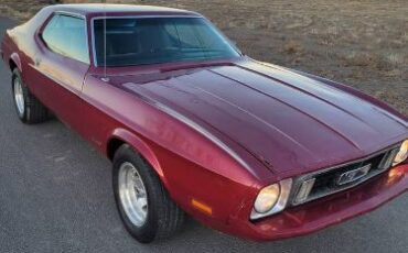 Unknown-Mustang-1973-17
