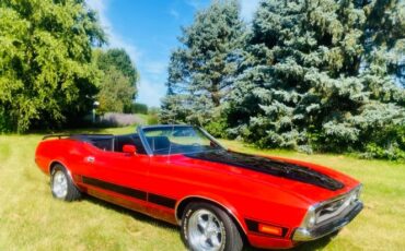 Unknown-Mustang-1973-2