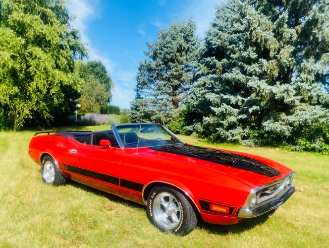 Unknown-Mustang-1973-2