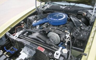 Unknown-Mustang-1973-2