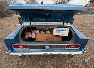 Unknown-Mustang-1973-2