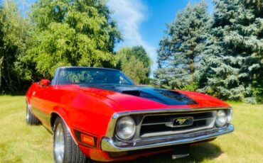 Unknown-Mustang-1973
