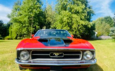 Unknown-Mustang-1973-22