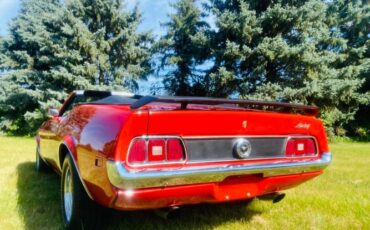 Unknown-Mustang-1973-23