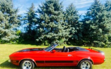 Unknown-Mustang-1973-25