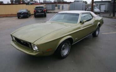 Unknown-Mustang-1973