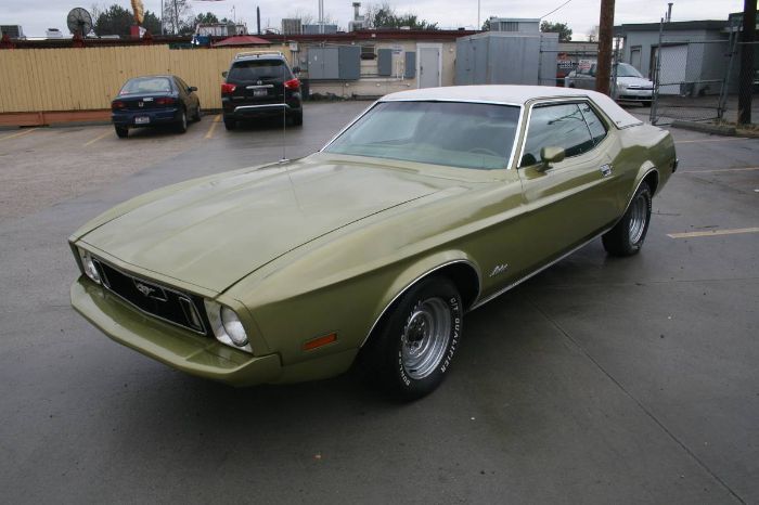 Unknown-Mustang-1973