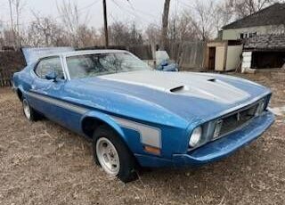 Unknown-Mustang-1973