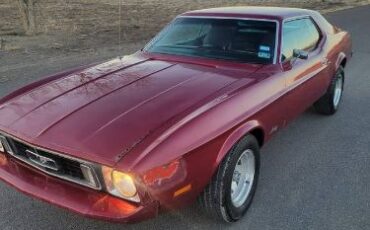 Unknown-Mustang-1973