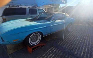 Unknown-Mustang-1973-3