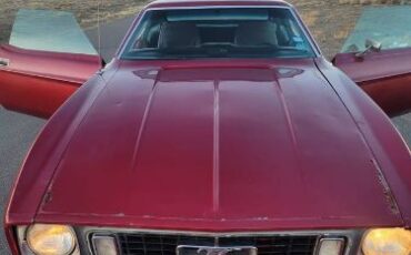Unknown-Mustang-1973-4