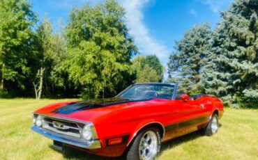 Unknown-Mustang-1973-5