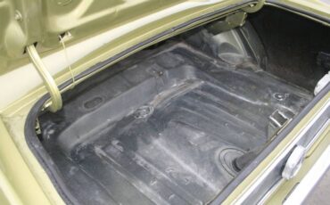 Unknown-Mustang-1973-5