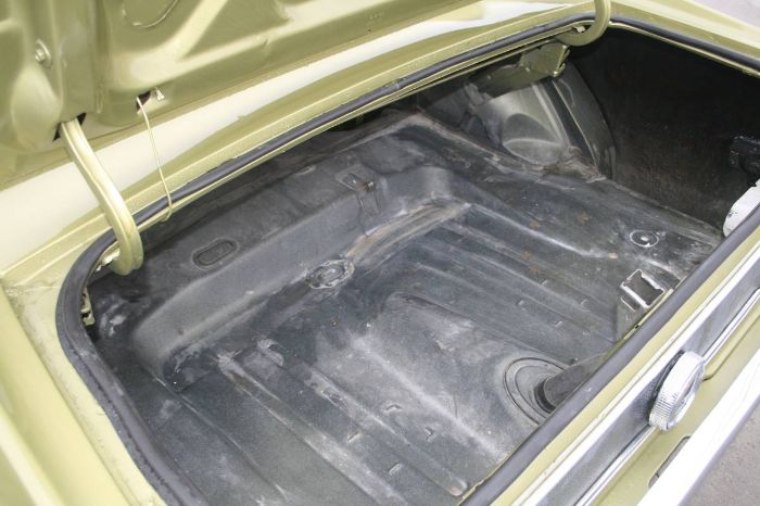Unknown-Mustang-1973-5