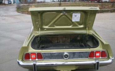 Unknown-Mustang-1973-6