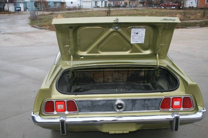 Unknown-Mustang-1973-6