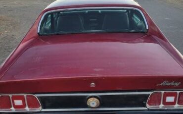 Unknown-Mustang-1973-6