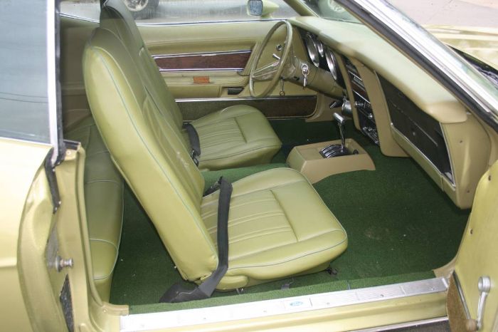 Unknown-Mustang-1973-7