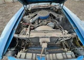 Unknown-Mustang-1973-7
