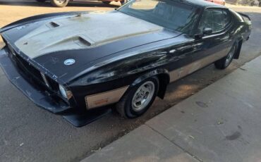 Unknown-Mustang-1973-Black-11