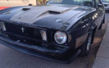 Unknown-Mustang-1973-Black-12