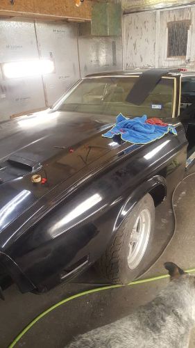 Unknown-Mustang-1973-Black-8