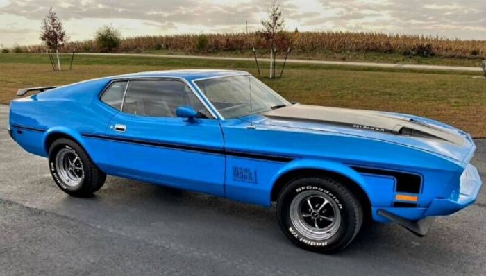Unknown-Mustang-1973-Blue-Black-4
