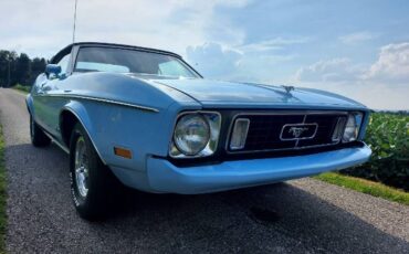 Unknown-Mustang-1973-Blue-Blue-19