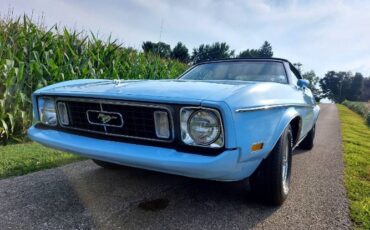 Unknown-Mustang-1973-Blue-Blue-5